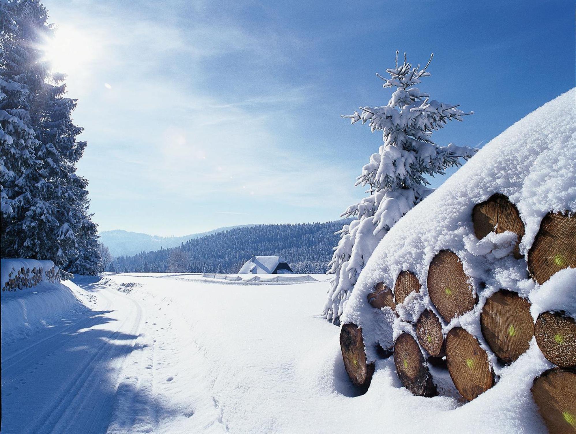 Charlott 3* Eisenbach (Breisgau-Hochschwarzwald)